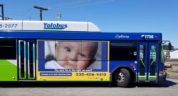 Yolobus Empress Super Square ad for Yolo County Child Passenger Safety Program Yolobus Empress Super Square ad for Yolo County Child Passenger Safety Program