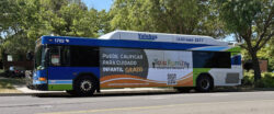 Yolobus King Kong ad for Yolo Family Child Care Network