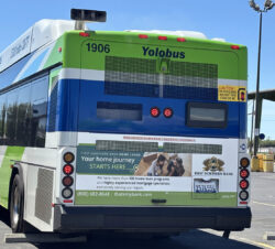 Yolobus Half Back ad for First Northern Bank Yolobus Half Back ad for First Northern Bank