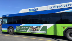Yolobus King ad for Woodland Community College Yolobus King ad for Woodland Community College