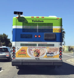 Yolobus Tail ad for El Patio Fresh Mexican Grill Yolobus Tail ad for El Patio Fresh Mexican Grill