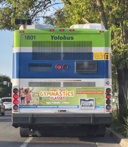Yolobus Tail ad for Sweet Peas Gymnastics Classes Yolobus Tail ad for Sweet Peas Gymnastics Classes