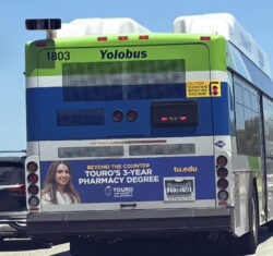 Yolobus Tail ad for Touro University California Yolobus Tail ad for Touro University California